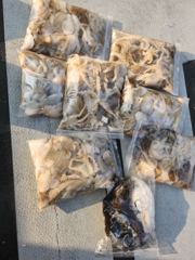 10월 23 앞마당 오후타임 사진
