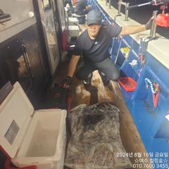 8월16일 입항 한치조황 사진