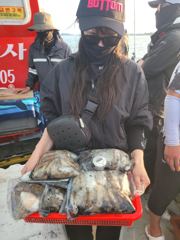 9월20일 139 갑오징어조항 사진