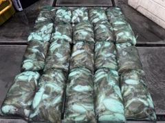 10월14일 연안부두 (샤크피싱 - 스모키호.마루호) 갑오징어 조황~굿굿굿!!!!! 사진