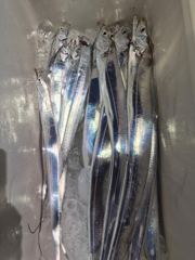 오랜지2호 사진