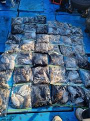 2025 [1026] 깊어가는 가을 태안에서의 추억 사진