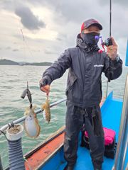 쌍 갑오장어 신발짝 만한 싸이즈 사진