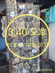 10/30 당진 장고항 해안선호 조황사진 사진