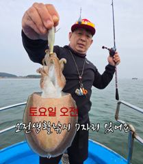 토요일 오전생활낚시 7자리있어요 사진