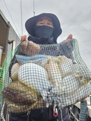 11월8일 황제호 씨알좋은 왕갑오징어 조황 입니다. 사진