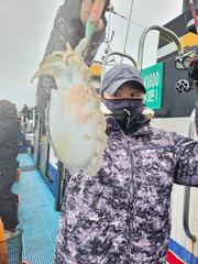 11월 8일 뉴스카이호 갑오징어 조황 사진