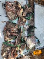 먹물조황 글만 보기 사진