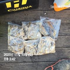 시즌도 끝나 가는데 연장해야 하나.... 사진