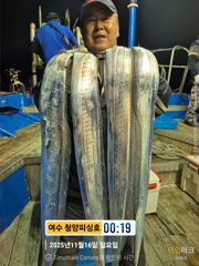 여수 청양피싱 11월16일 입항조황입니다. 사진