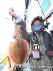 타조알 갑오징어 새벽부터 나오고 있어요~실시간~11/19~11/21일까지 (3일간 연장) 갑오징어 특별한 상.. 사진