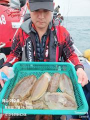 ⭐여수야수호⭐14일 심해갑오징어 조황입니다. 사진