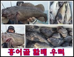 먼바다 할배 우럭_65cm 히트_바다의신 선상출조 사진