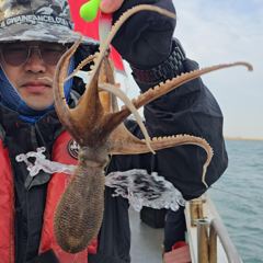 [나드리호] 4/23 봄쭈 출조 조황입니다. 사진