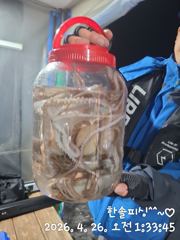 4월 25일 조황^^>> 사진