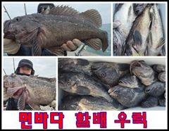 바다의신 5월 출조 안내 사진