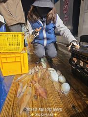 ✅️여수오션스타 5월10일 한치 조황 다음주 자리여유 사진