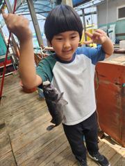 5.23 성호좌대 조황소식 사진