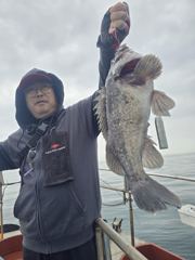 삼길포 나대세호 5/23 광어 우럭 조황 사진