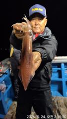 토요일 먼바다 한치 조황 입니다.기본 조황으로 마무리..여수피싱도시어부 16석 루키나호  사진