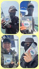 [무창포 플러스호] 5월 24일 묵직한 손맛의 향연. 산란갑오징어낚시, 29일.30일.31일.예약가능 010-3304-7556 사진