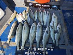 홍원항 타이탄호 5월30일(토) 괴력 농어 잡고 왔습니다~ 사진