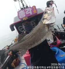 보령 무창포 농어 생미끼 외수질 < 총각1호 > 오늘도 대박 조황!!! 평일 자리 여유~!! 사진