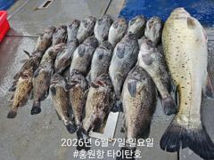 홍원항타이탄호 6월6~7일 주말 외수질 조황 사진