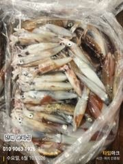 윤피싱 오늘도 한치 이만큼 잡고 왔습니다 사진