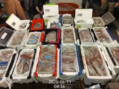 아쿠아호 야리 초대박!200수200수!밤새도록 피딩!화욜부터 예약가능  사진