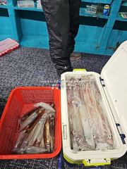[통영대교피싱]올해 한치장만 끝내버려요~ 다음주 수요일부터 자리여유 사진
