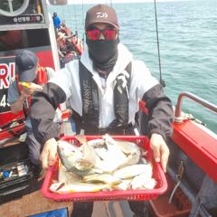 6월 13일- 백조기.수조기낚시조황 사진