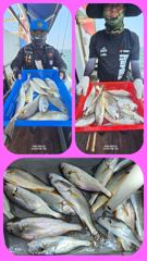 6월 13일 왕백조기낚시 전문배 플러스호 (3명이상 정상출조 010-3304-7556) 사진
