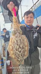 22일,새벽부터 입질 좋아요~실시간~쥑이는 타조알 갑오징어~내일도 갑니다~군산 포세이돈 2호 사진