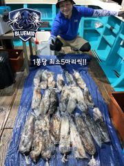 260수 오바!! 초대박조황!! 6월22일 한치입항!! 사진