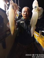 여수/한치 22일철수조황 사진