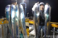 [뉴한사리호] 30일철수 갈치 좋은조황 사진