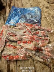 완도더킹호 3일 한치 철수조황 입니다 사진