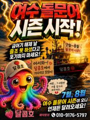 여수 돌문어 시작입니다~!! 휘비고~~~~ 사진