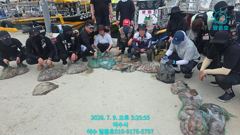 올해도 여수문어 스타트 좋습니다!! 사진