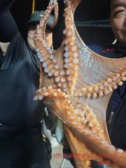 7월. 전체. 조황입니다 사진