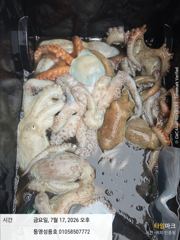문어 씨알죽여주고요~2키로급도보이고 키로는장난이네요 ㅎ 사진