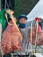 7월 18일 문어조황~^^// 사진