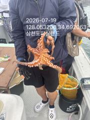 일요일 조황~~내일 야간 문어출조 사진