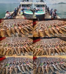 ♥ 붉바리들..이정도는 잡아봐야지요  붉바리조황입니다[2026년07월23일] ◎ 해마루호가 뜨는이유? 조황때문이죠 ◎ 핵심포인트: 바로진입.. 바로히트.. ▣ 차원이 다른 조황으로 모십니다 ▣ 요즘 붉바리낚시가 대세입니다 사진