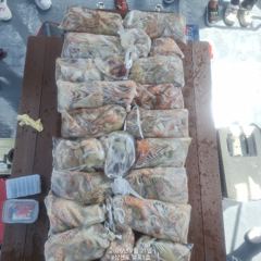 7월21일 팔포1호 키로오바 19수 포획성공하고 마무리합니다 ((돌문어사냥은 계속 이어집니다)) 사진