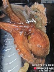 23일 문어 조황 소식 전해드립니다 사진