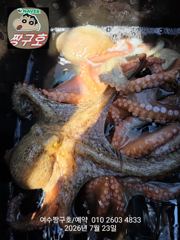 여수 짱구호 7월23일(목) 문어 1k 조황 사진