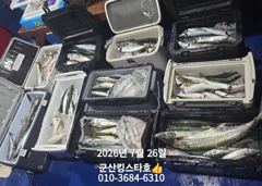 군산킹스타호(7/25)야간고등어 마무리(7/26일출조합니다:예약가능~ 사진