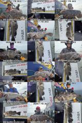 7월26일 썬스타호 우럭조황`~ 사진